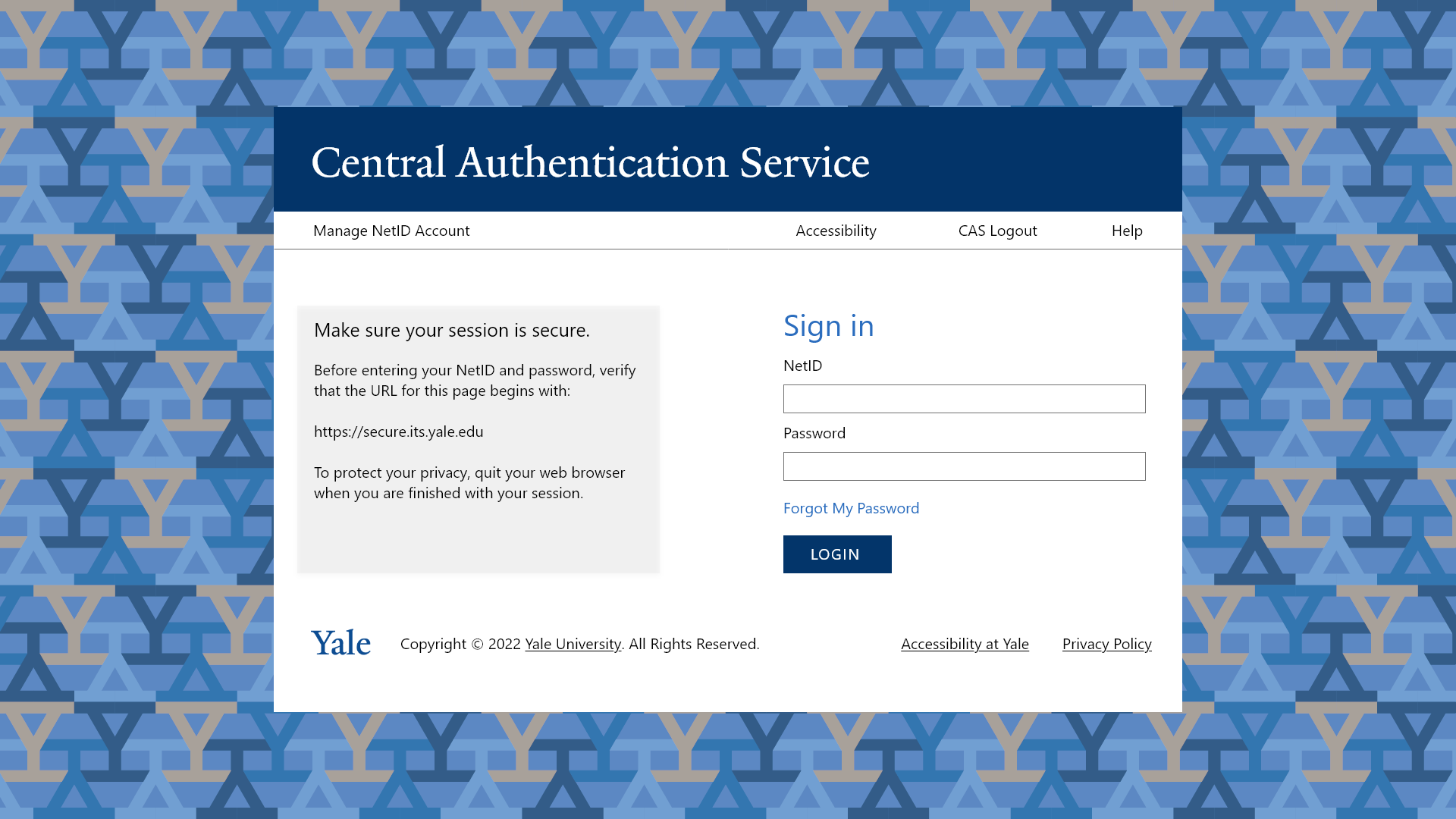 Screenshot of CAS SSO